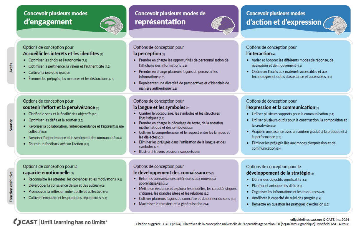 Schéma des 3 grands axes de la conception universelle des apprentissages
